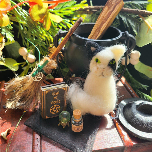 Adopt a Ghost Cat Familiar: Witch Gift Set